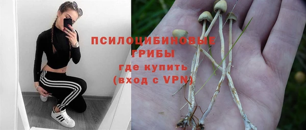меф Богородск