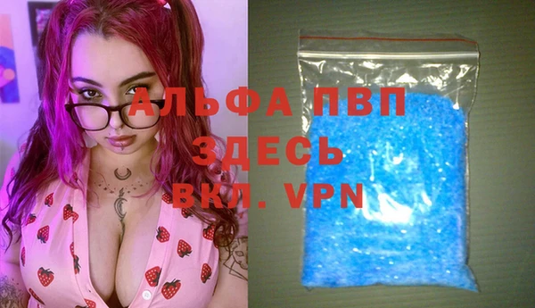 прущий лед Богданович