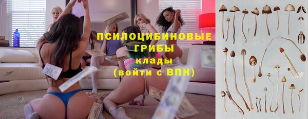 прущий лед Богданович