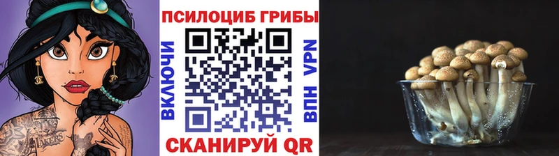 Галлюциногенные грибы MAGIC MUSHROOMS  Горячеводский 