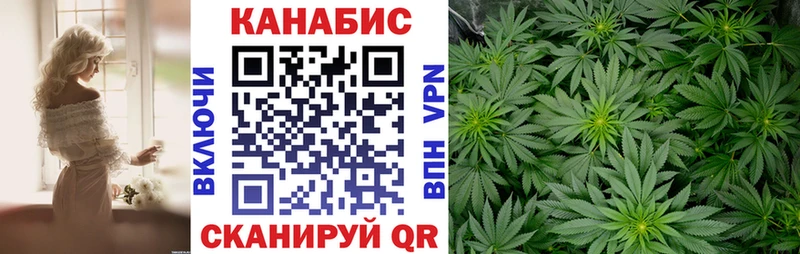 Бошки Шишки планчик  Горячеводский 